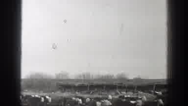 Montana (1939): Large Herd Of Cattle Walking Through Field On A Clear Day