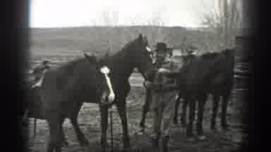 Montana (1939): Taking Care Of The Horses On Our Family Farm In A Weekend
