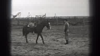 Montana (1939): Horse Walks To Man Wearing Black Hat On A Clear Day