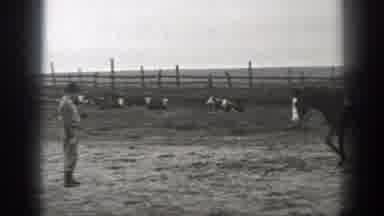 Montana (1939): Horse With Saddle On Back Trots Away Then Back Towards A Person In