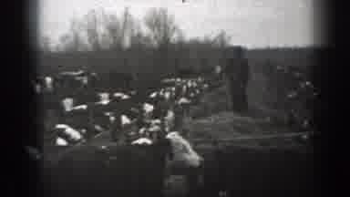 Montana (1939): View Of People Picking Cotton And Man Riding Horse In Reverse On