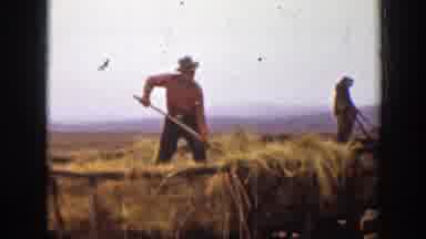 Montana (1939): Man Wearing Red Shirt Pitches Hay From Wooden Wagon On A Clear Day