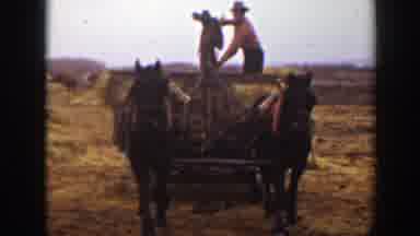 Montana (1939): Farmers Throwing Hay Off A Hay wagon That Is Being Pulled By