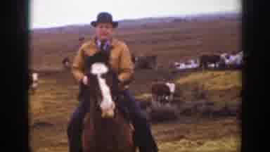 Montana (1939): Man Riding Horse Riding Around The Terrain With Several Cows In