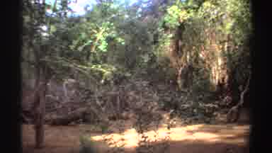 Sudan (1969): Big Tent In The Forest