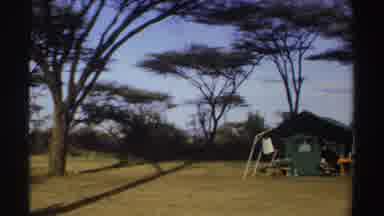 Sudan (1969): View Of Green Sheds Trees And Blue Sky On A Clear Day