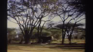 Sudan (1969): Encampment With Jeep In South Africa