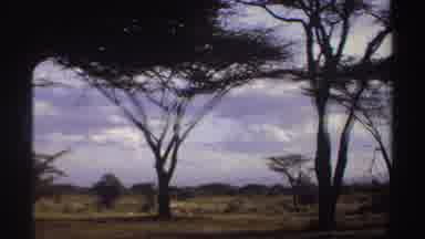 Sudan (1969): The Camera Pans Across The Field And Captures The Vehicles That Are