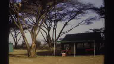 Sudan (1969): Trees Surrounding The Tent