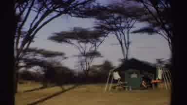 Sudan (1969): Tent Set Up In The Middle Of A Forest Surrounded By Many Trees