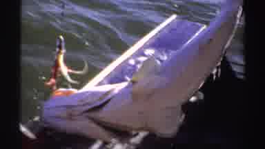 Sudan (1969): Friends Catching A Big Fish On The High Seas During The Day