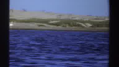 Sudan (1969): Camera Moving Along Body Of Water Long Legged Birds Wading In Water