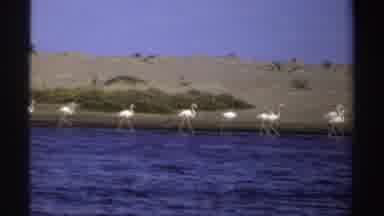 Sudan (1969): The Flames Flying Over Water