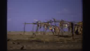 Sudan (1969): Old Video Footage Of An African Man Attending To To What Appears To
