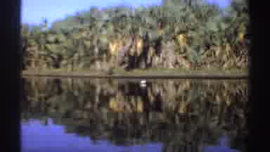 Sudan (1969): An Animal Swims On A Still Water body Far Away From A Natch