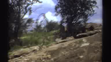 Sudan (1969): Wild Animal Under Tree And Bushes On Rocky Terrain