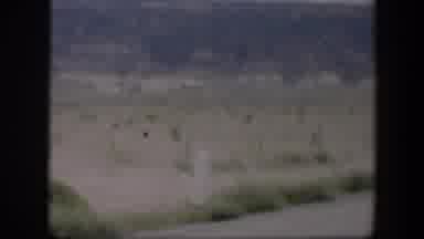 Utah (1951): Beautiful View Of A Mountainous Region Full Of Bushes
