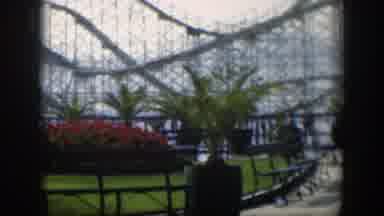 Utah (1951): Roller Coaster With Palm Trees In Front Of It On Sunny Day Pretty