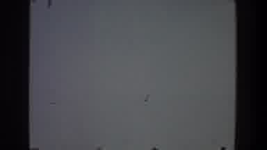 Toledo Ohio (1968): Birds Fly In The Sky At Dusk In Search Of Rest