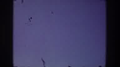 Toledo Ohio (1968): Bats Flying Around The Night Sky