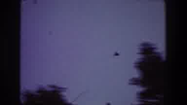 Toledo Ohio (1968): View Of A Free Bird Flying Fast In Blue Sky