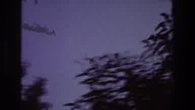 Toledo Ohio (1968): Panoramic View Of Trees And Birds Flying In The Blue Sky