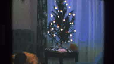 Toledo Ohio (1968): Kid Opening Presents Near Skinny Christmas Tree With Colored
