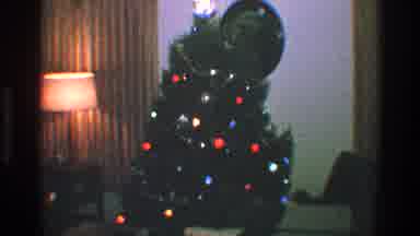 Toledo Ohio (1968): A Beautiful Christmas Tree With Twinkling Lights
