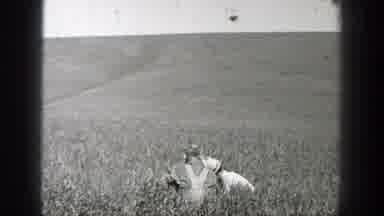 California (1937): Men Are Planting Rice And Corn