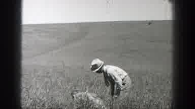 California (1937): View Of Person Walking In Field And Black Hen Walking Past