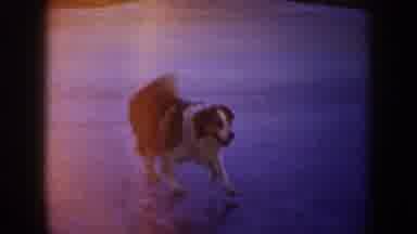 North Dakota (1953): Ice Skating Snow Sledding Red Jacket Kid Dog Following Play