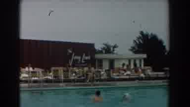Los Angeles California (1961): Individuals Swimming And Hanging Out Around The