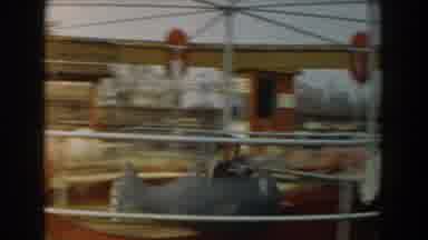 Los Angeles California (1961): Kids Riding In Goldfish Shaped Cars On Kiddie
