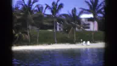 New York (1948): Trees And Houses And Water Front With Lounge Chairs