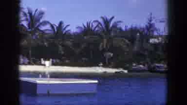 New York (1948): A Beautiful Day At The Beach With Nice Palm Trees