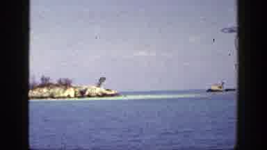 New York (1948): Beautiful Ocean View With A Lot Of Plants And A Perfect Blue Sky