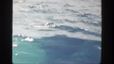 New York (1948): Someone Fishing Reels In Something On Fishing Line Wave Action
