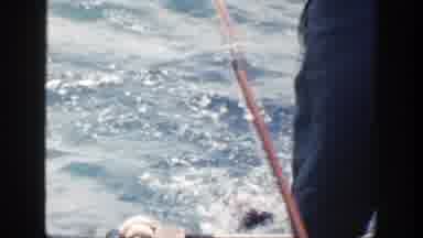 New York (1948): Off Screen Person Holds Grey Fish With Red Fin On A Sunny Day