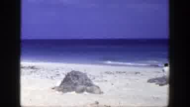 New York (1948): Person Sitting On A Rock By A Calm Beach With White Sand