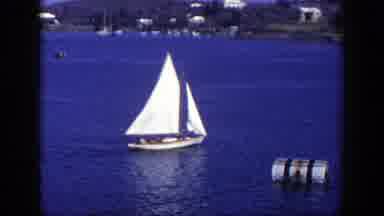 New York (1948): The Natch Is Moving In The Blue Sea While There Is A Box Floating