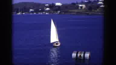 New York (1948): Sailboat Sailing In The Sea With Houses And Trees In The