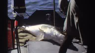 Nigeria (1969): Men At Sea Fishing On A Sunny Day