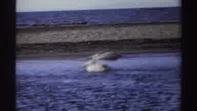 Nigeria (1969): A Boater Driving Though Bright Blue Water Passing Rocks And The