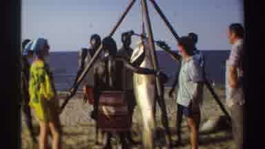 Nigeria (1969): Visitor Watching People In Tribe Demonstrating Rituals
