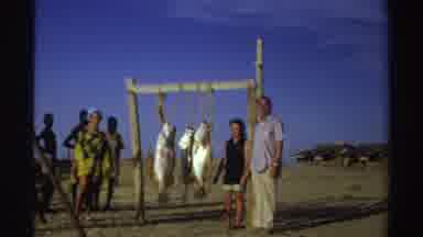 Nigeria (1969): Large Four Fish Hang Up Stick Sell Watch Tourists Purchase