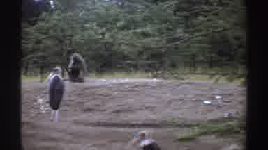 Nigeria (1969): Pair Of Baboons Look At Flock Of Vultures On A Clear Day