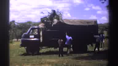Nigeria (1969): Person Gathered In The Bush Tidying Walks With Trees Around