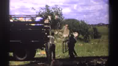 Nigeria (1969): Men Unloading Fences From The Back Of A Truck