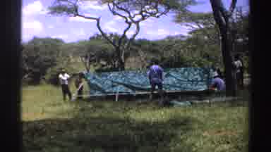 Nigeria (1969): People Setting A Tent In The Middle Of The Sabina