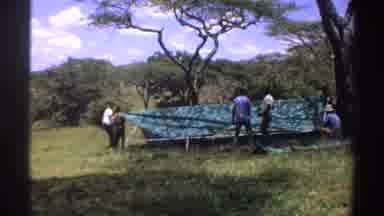 Nigeria (1969): People Erecting A Outdoor Tent